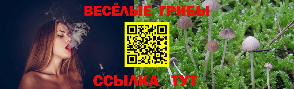 Галлюциногенные грибы мицелий  Псилоцибиновые грибы мухоморы  Вход с VPN  Нягань 